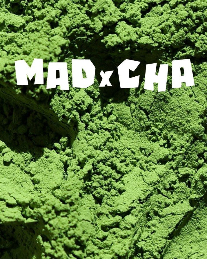 ceremonial matcha powder UAE - madxcha