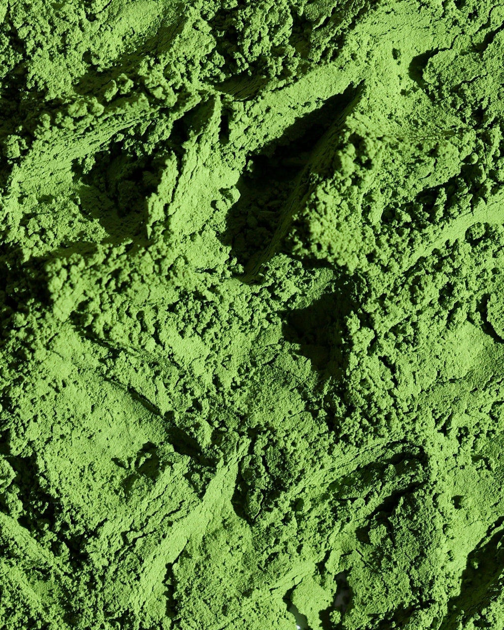 Madxcha — Premium Ceremonial Matcha Powder UAE