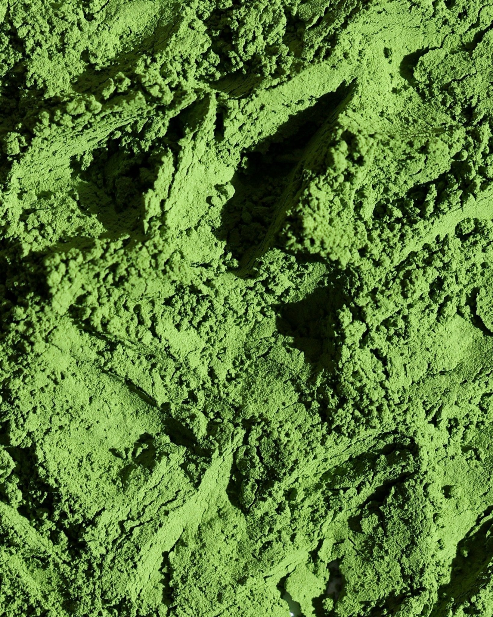 Madxcha — Premium Ceremonial Matcha Powder UAE