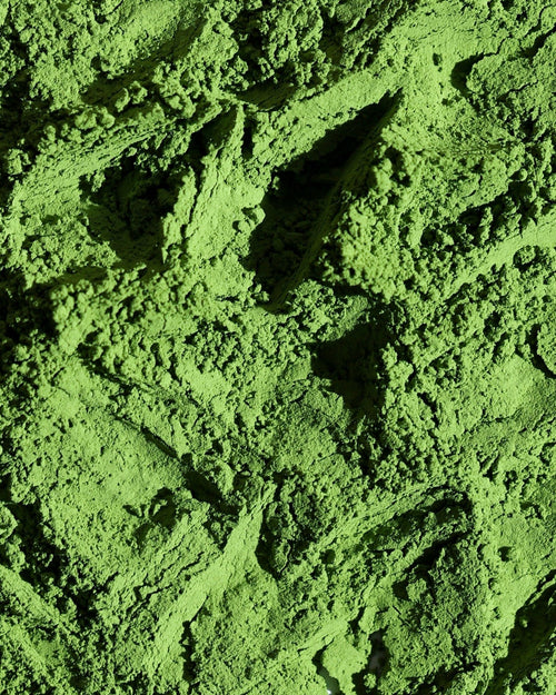 Madxcha — Premium Ceremonial Matcha Powder UAE